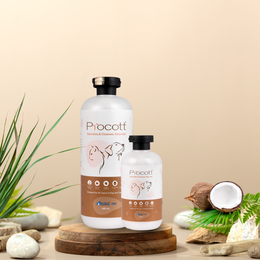 Procott